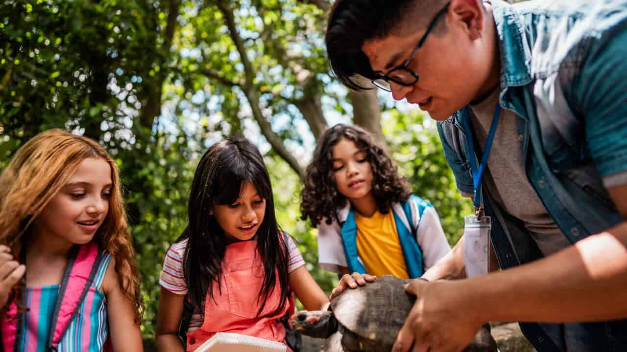 Kids holding a turtle.